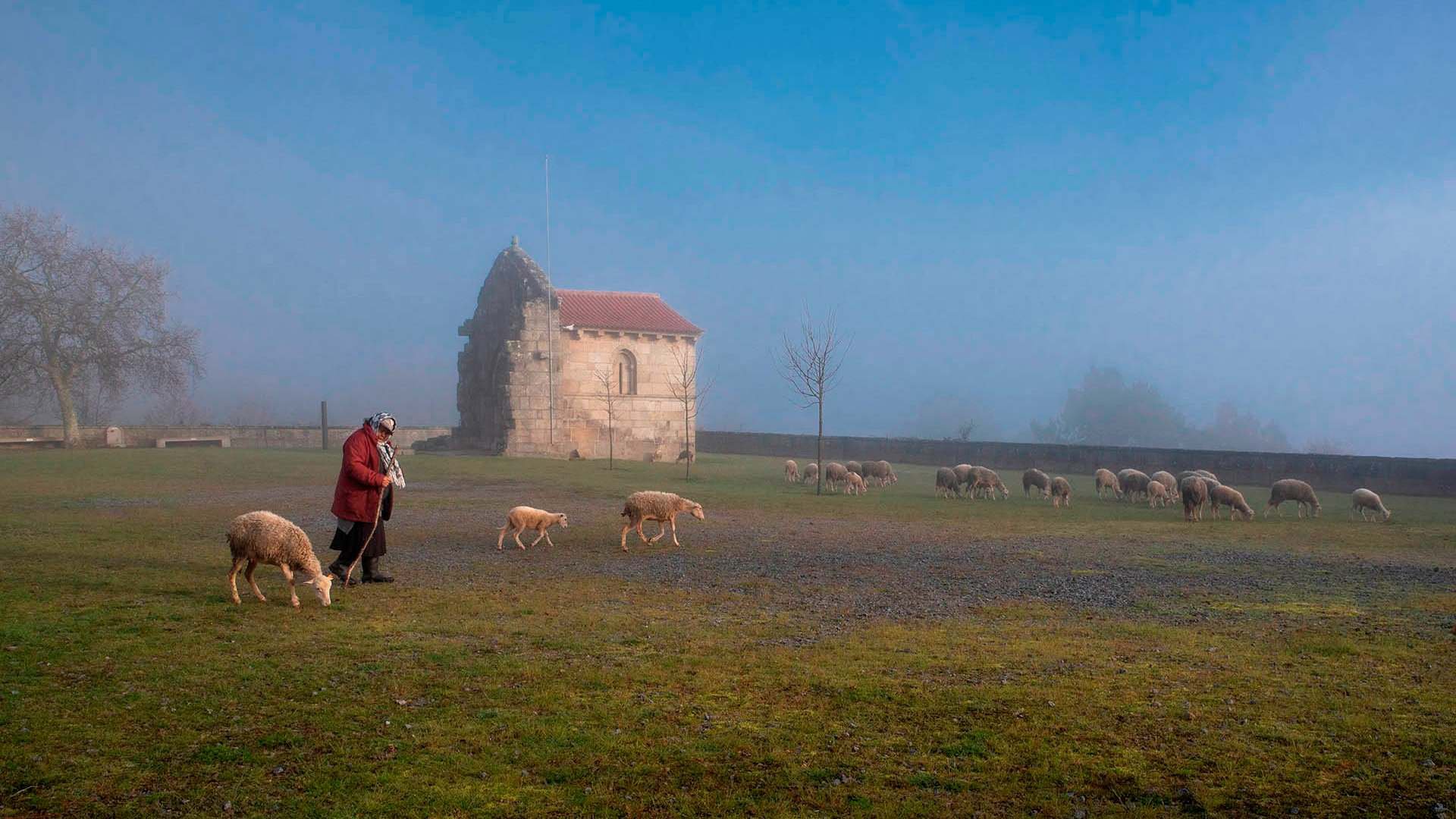 Route du Roman distingué par l'Association portugaise de muséologie